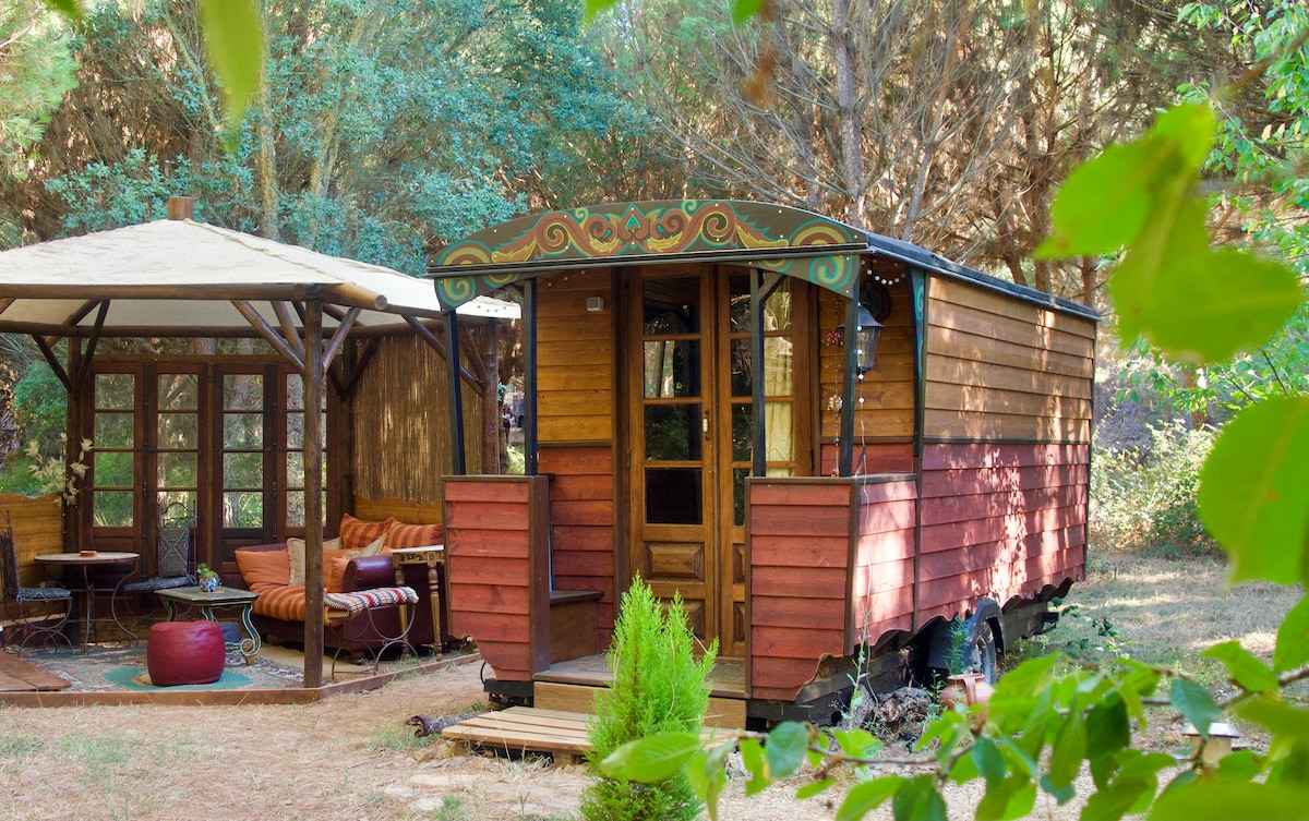 "Tinkerbel" - Bohemian caravan set in pine forest