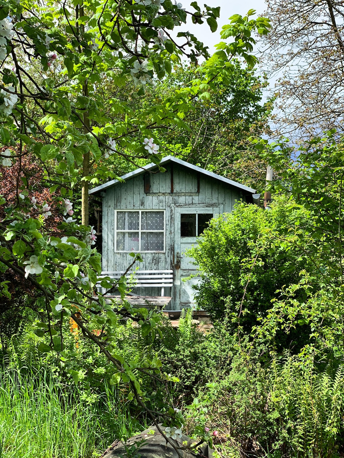 Děčín森林下的乡村小屋