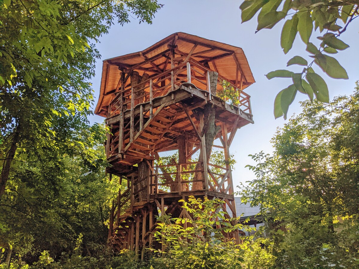 Primrose Wagon - Ecovillage Hainburg