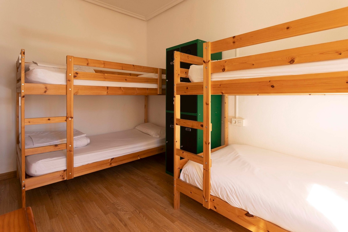 绿色旅舍（ Green Hostel ） - 4床（ 4床）混合宿舍（ 4床） -独立卫生间（ 205 ） -标准房价