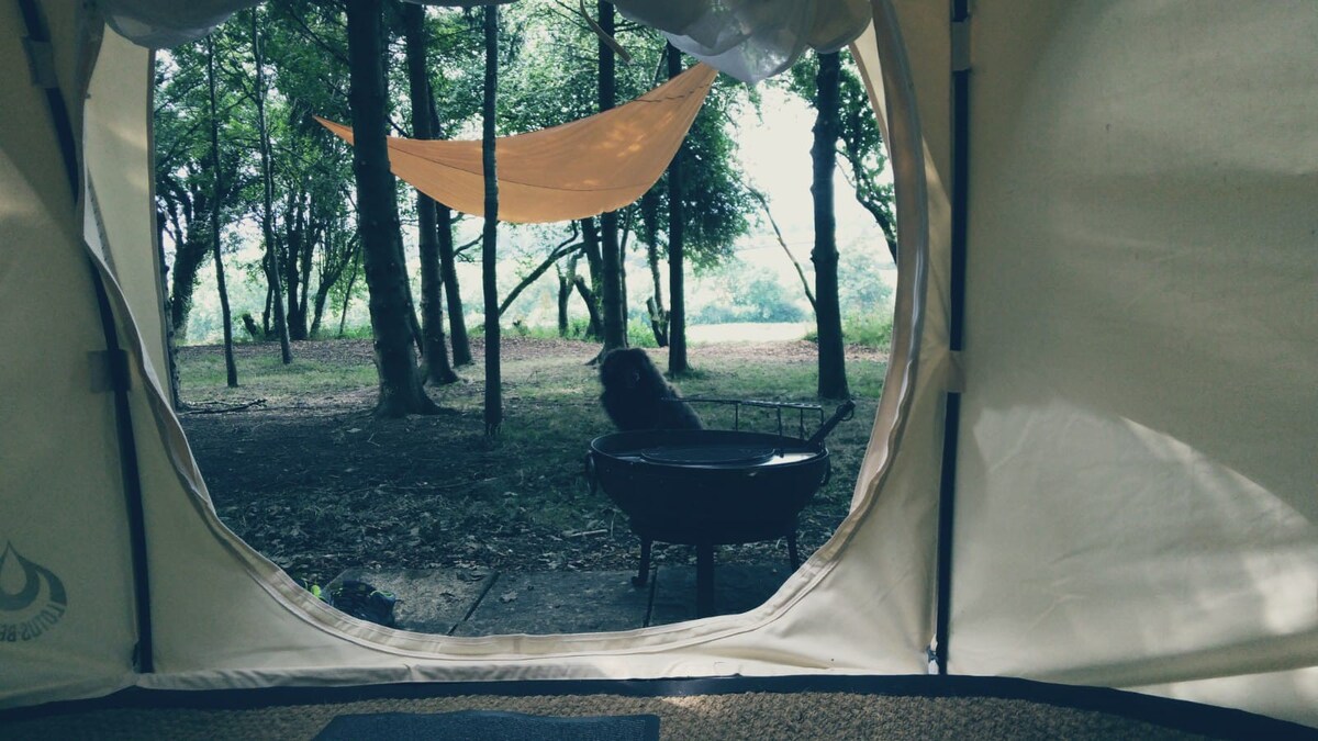 Woodland wonderful bell tents in the Cotswolds.