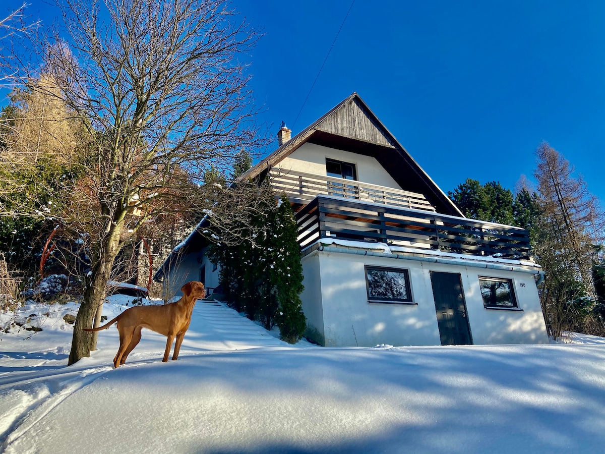 景观乡村小屋