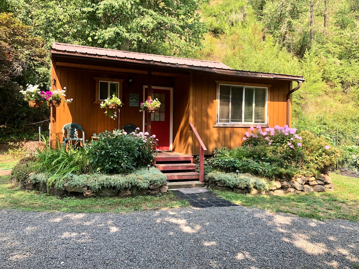 Charming Cabin on the Southfork of the Clearwater