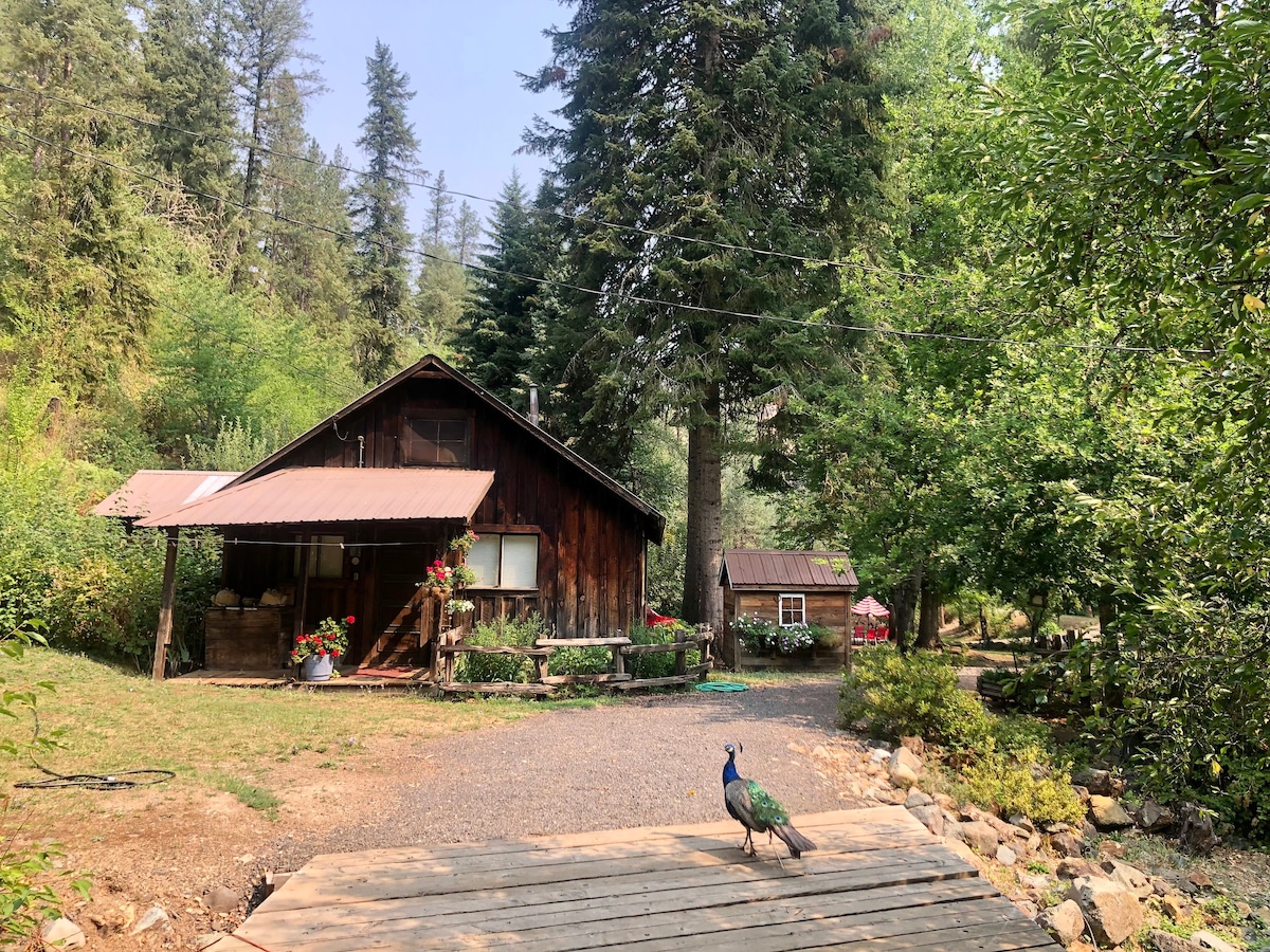 Restored Historic Miner’s Cabin