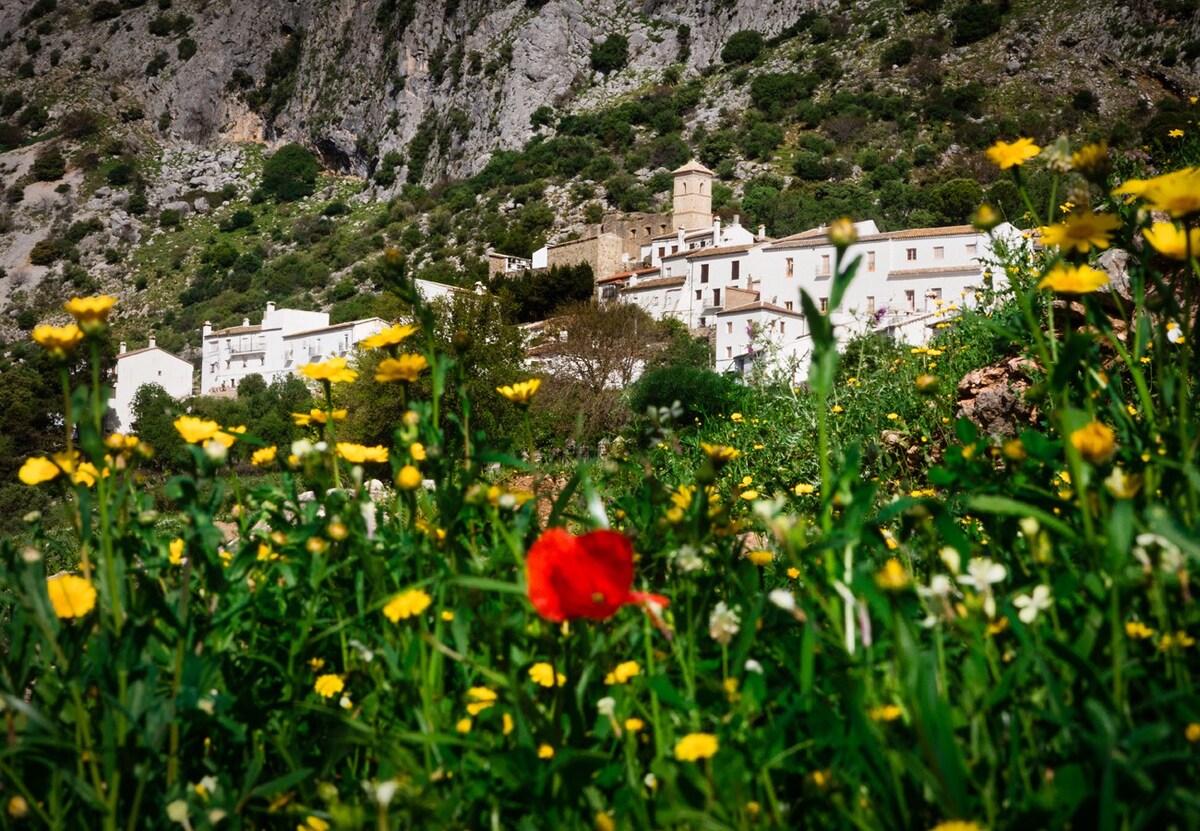 格拉萨莱马（ Grazalema ）山区宾馆的双人房