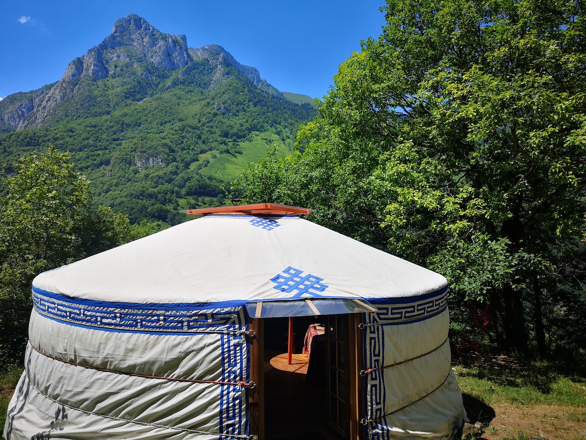 The Lost Yurt