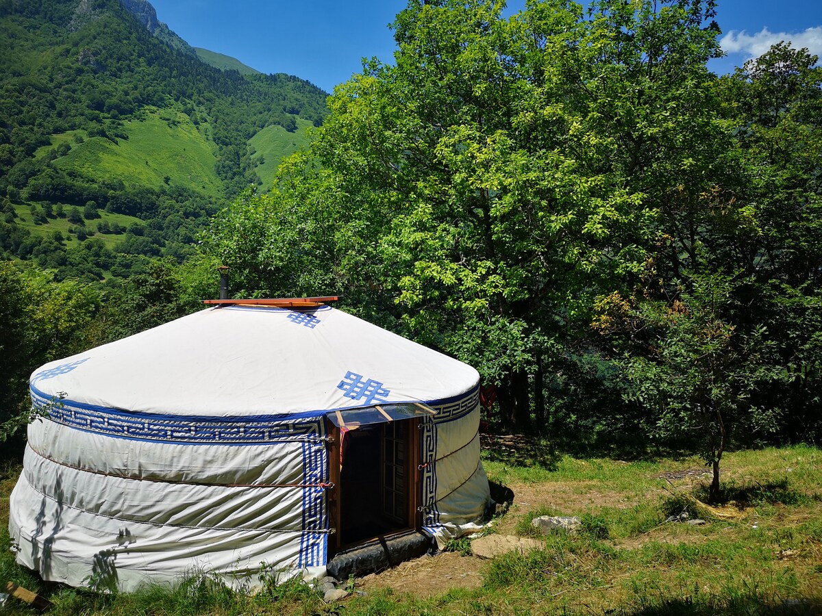 The Lost Yurt