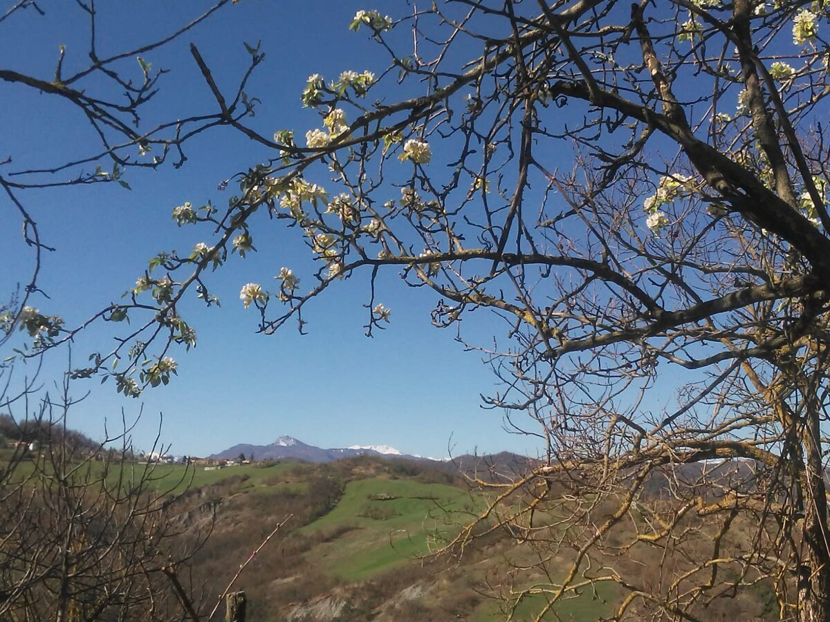 Luminosa stanza immersa nel verde