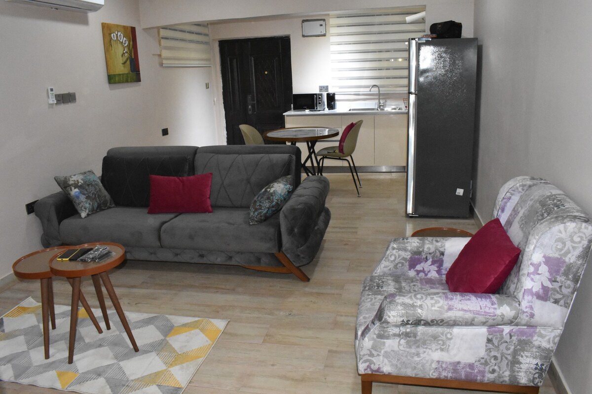 Cozy fully furnished 1 bedroom apartment.