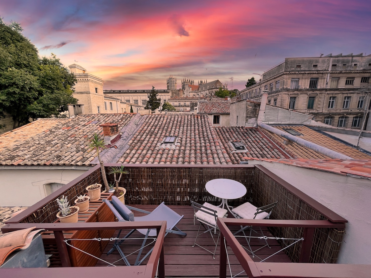 Triplex Rooftop centre historique