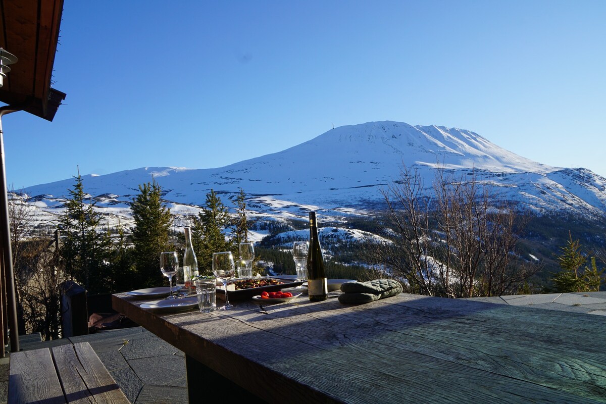 Stor og eksklusiv hytte med fantastisk utsikt