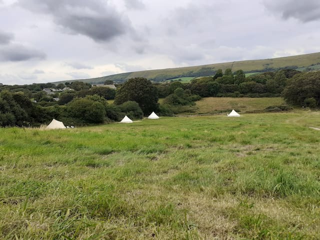 多塞特(Dorset)的民宿