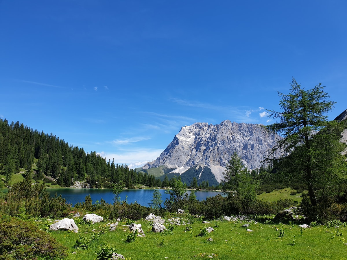 高山田园诗般的享受美丽的山景2