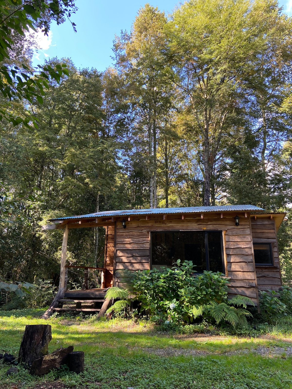 Cabaña en el campo, Panguipulli