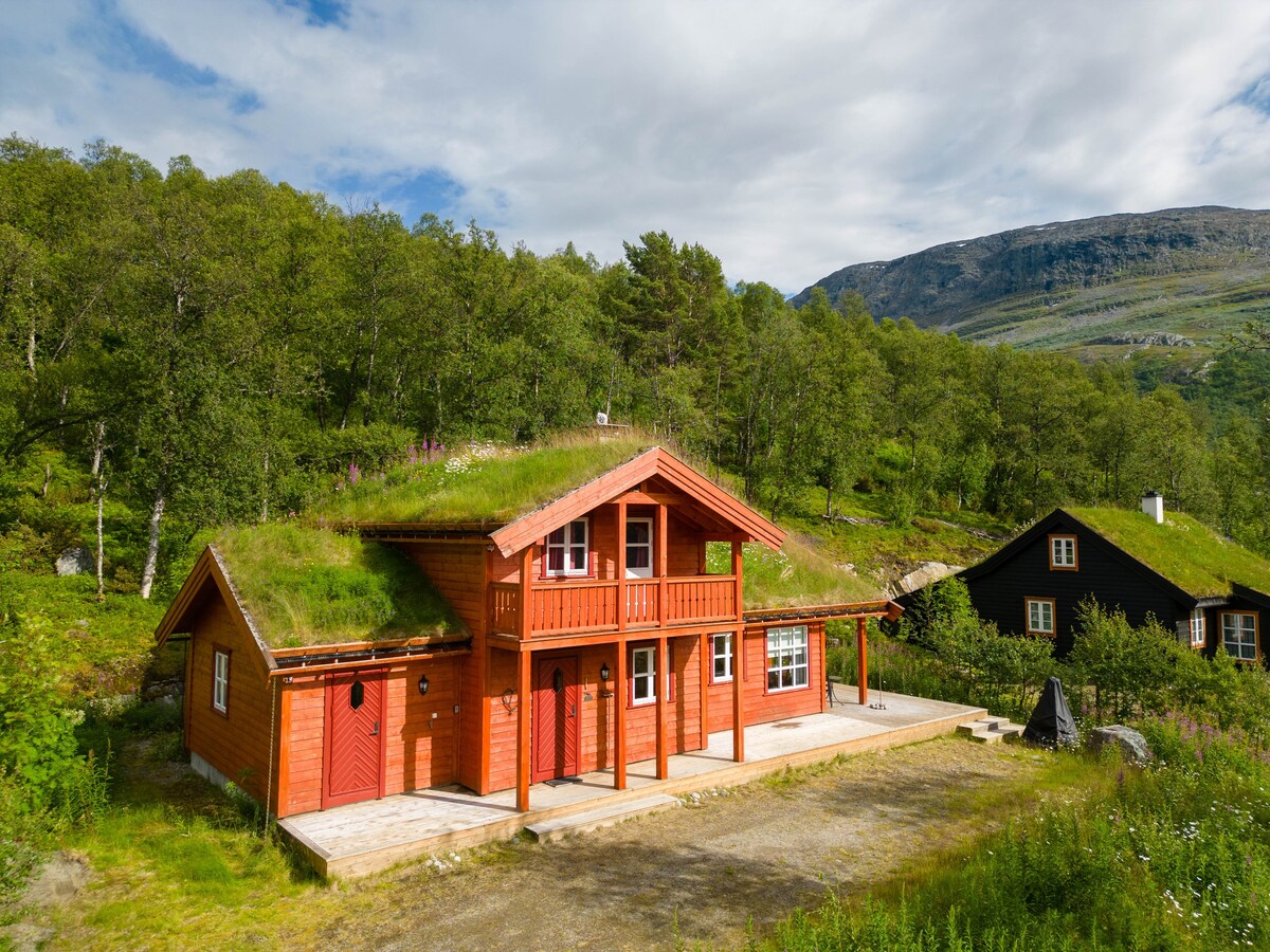 Cabin Filefjell , 4 bedrooms. View. Great walks