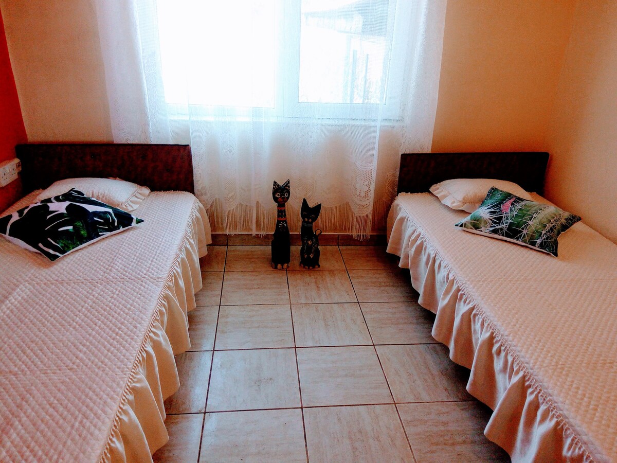 snezhana附近的客房，房间配有2张床