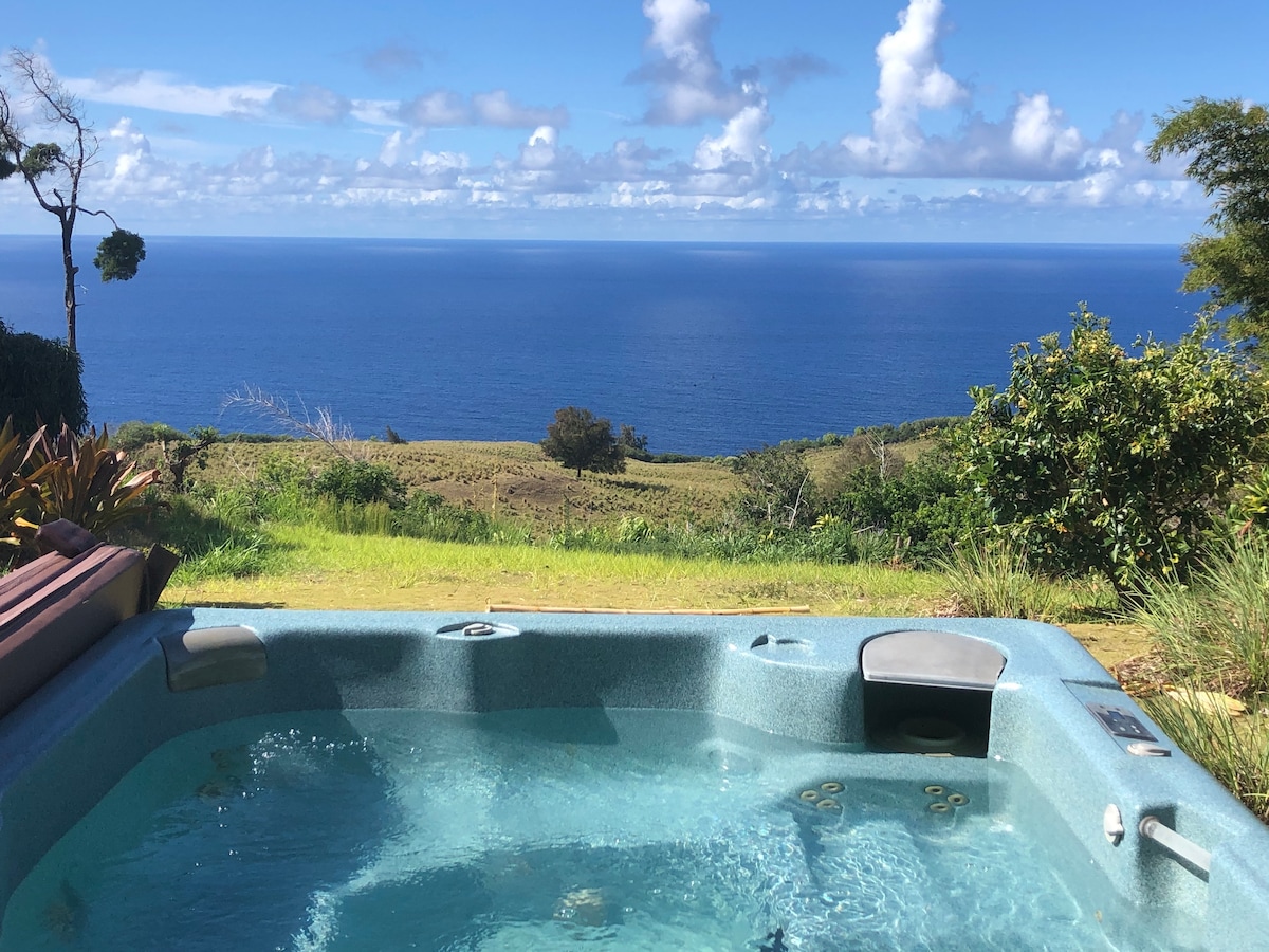 Waipio Ocean View Oasis