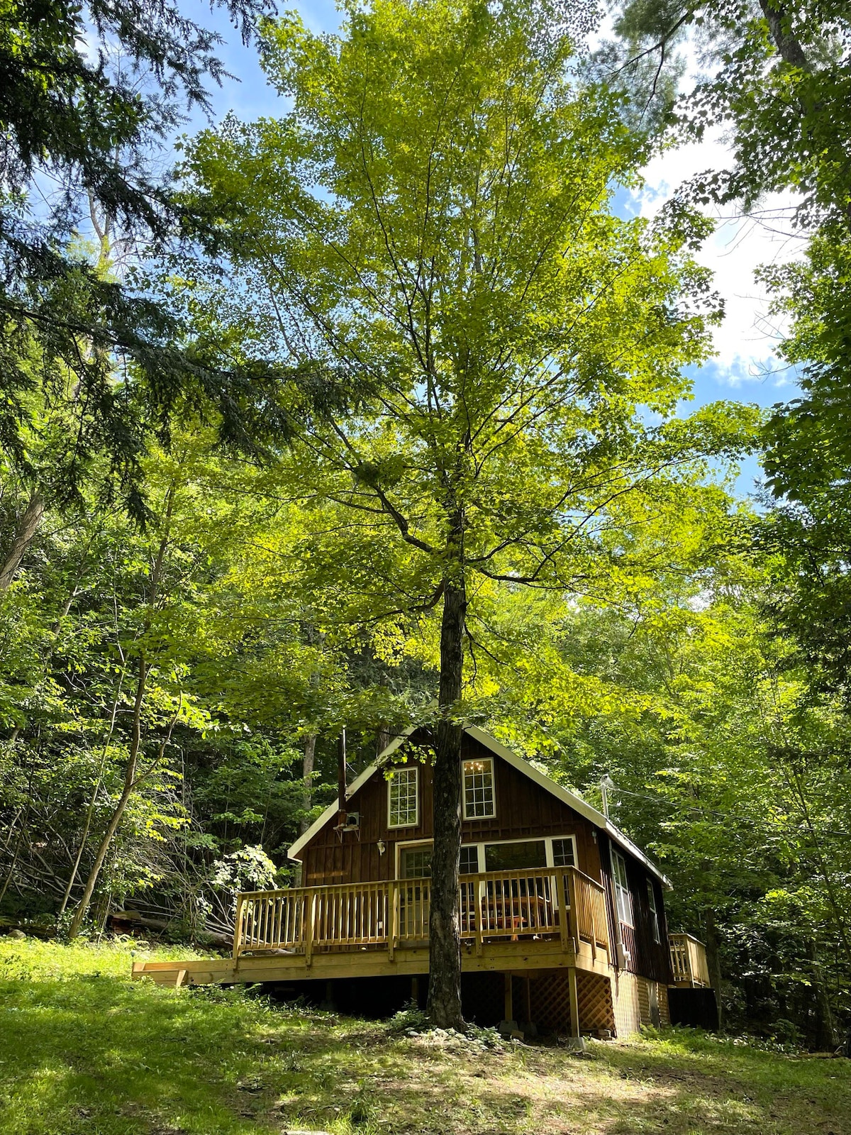 配备热水浴缸的理想Catskills小木屋