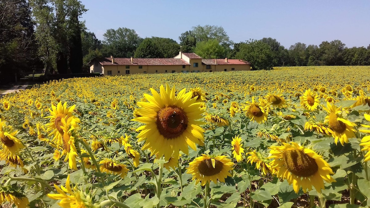 Ferme lauragaise alliant charme ancien et confort