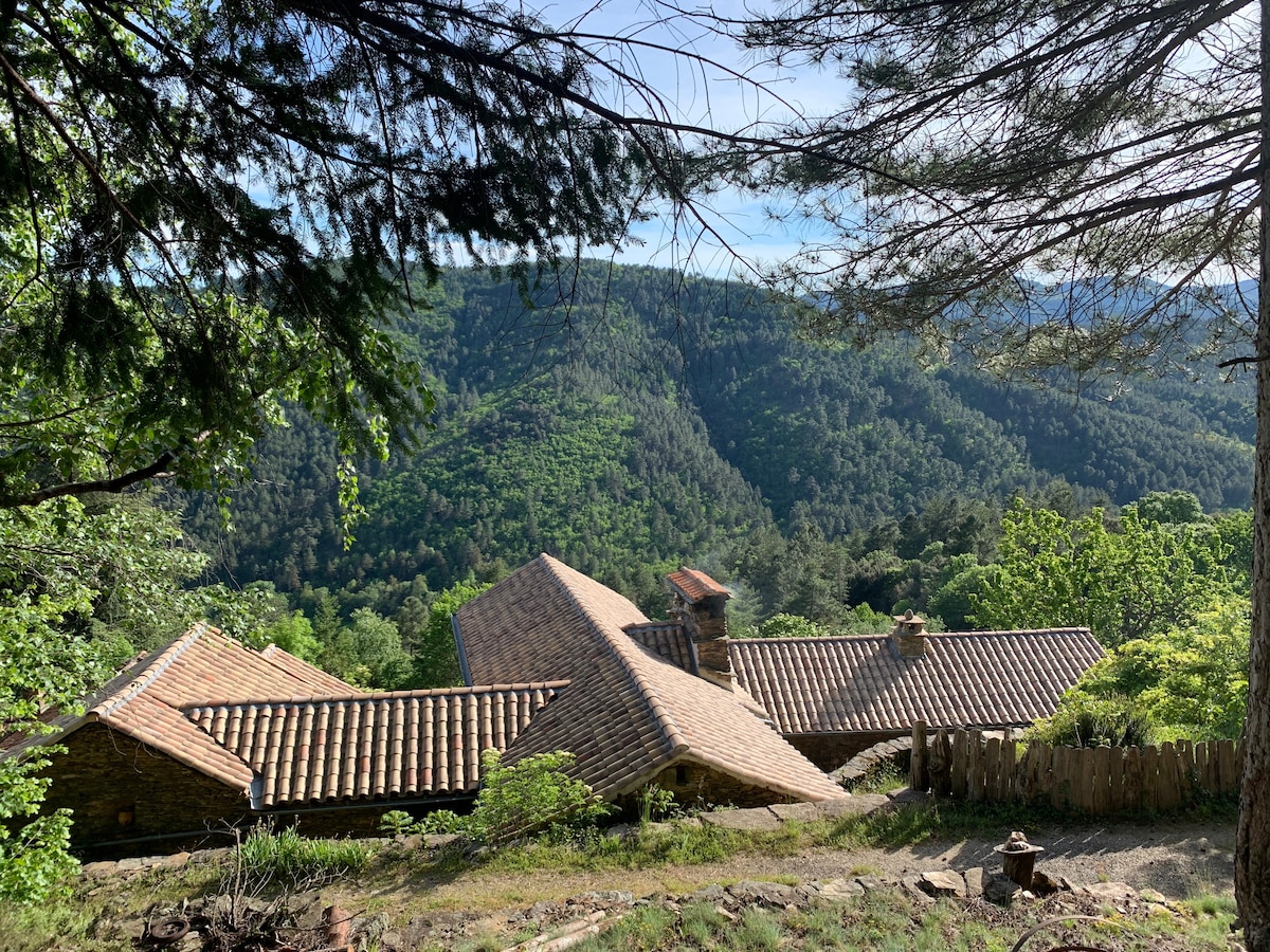 洛泽尔山（ Mont Lozère ）对面塞文尼斯正宗的马斯