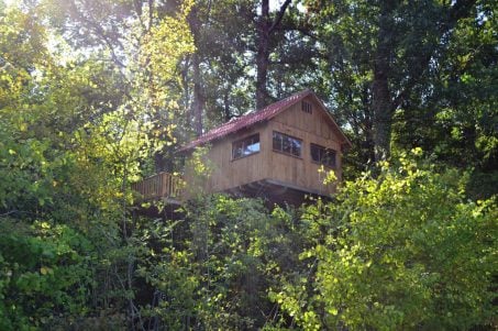 Charmante cabane perchée dans les arbres