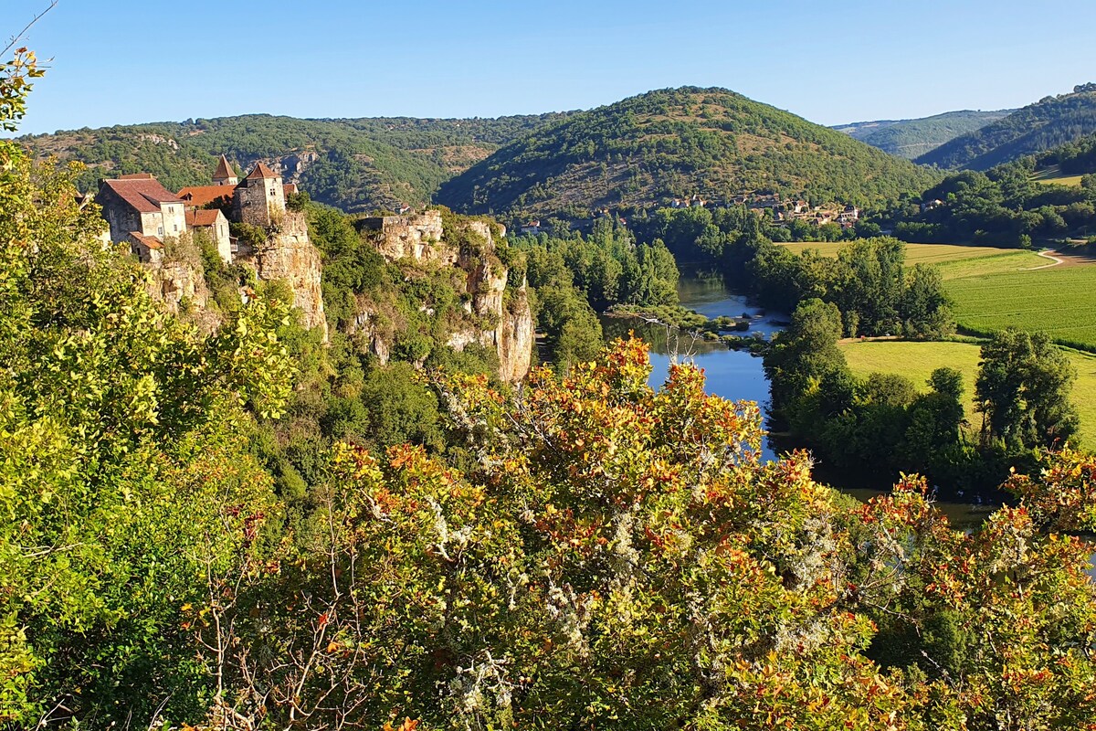 L'Oseraie du Quercy - Osier et vannerie