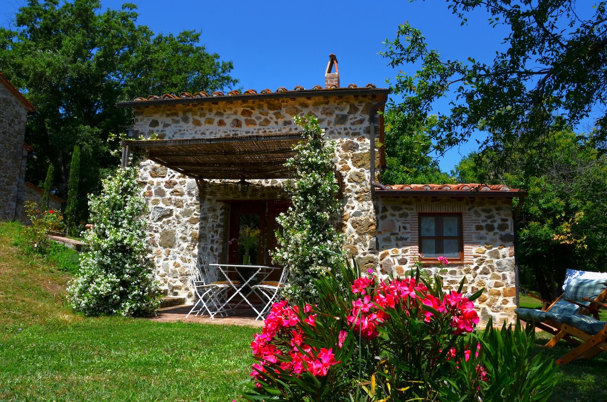 Il Venaio B&B Leccino suite