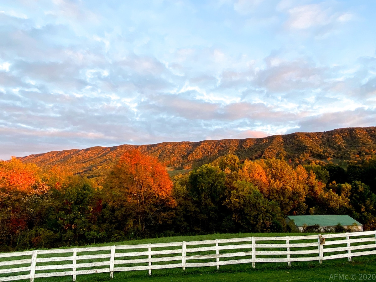 Lucy 's Mountain View