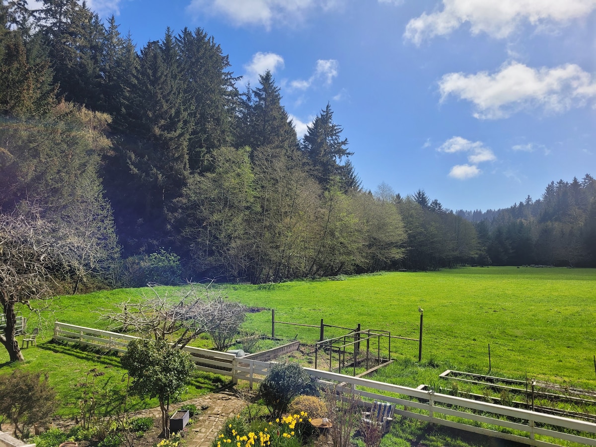 Beautiful big orchard campsite near beach