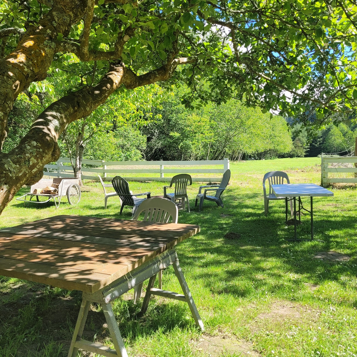 Beautiful big orchard campsite near beach