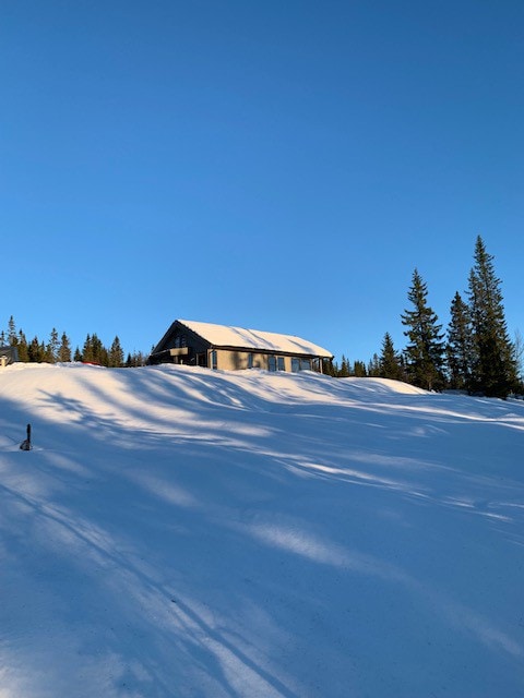 Nybygd hytte med fantastisk turterreng