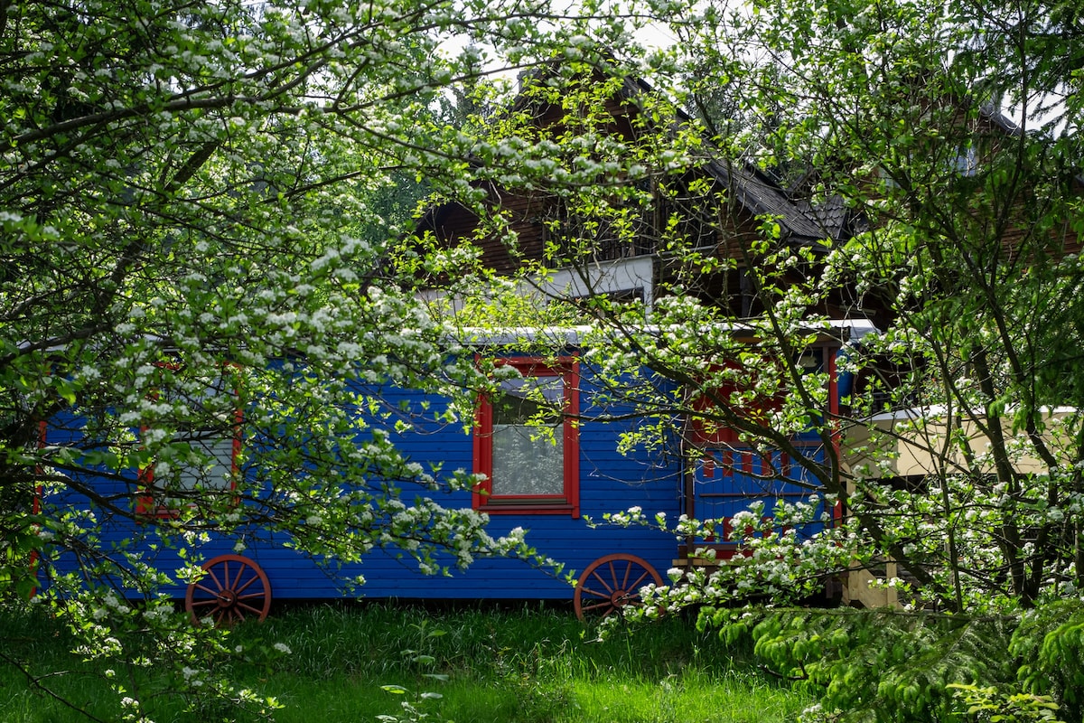 Voronet RED Tiny Houses