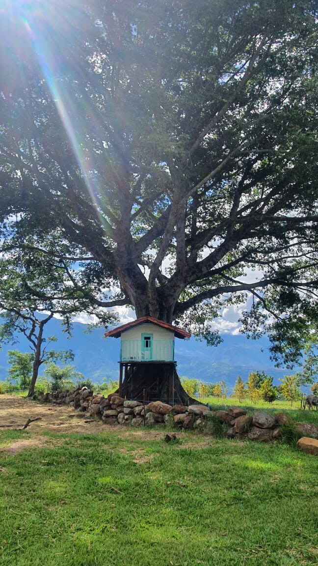 Hacienda La Cristalina