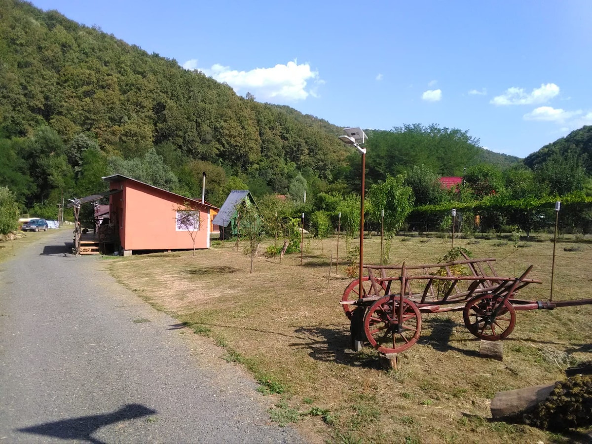 La casuta de pe vale Sat Boz, Comuna Branisca