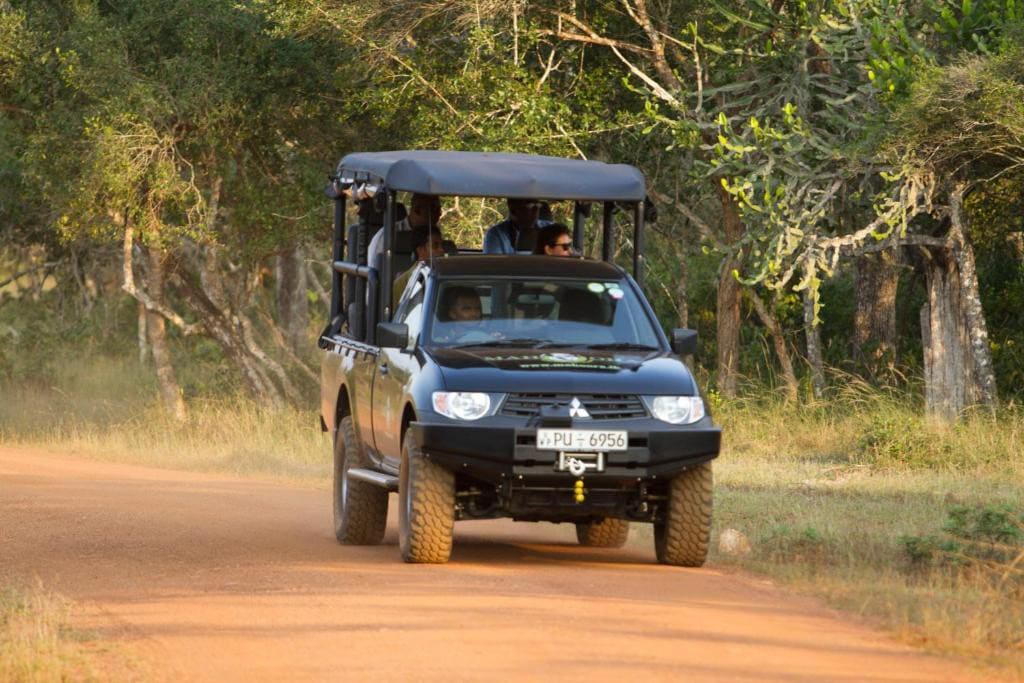 Wilpattu Glamping with a Jeep Safari & Meals