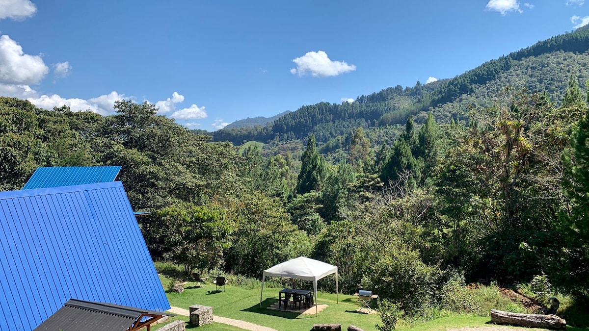 Cabaña El Pino in Refugio El Bosque