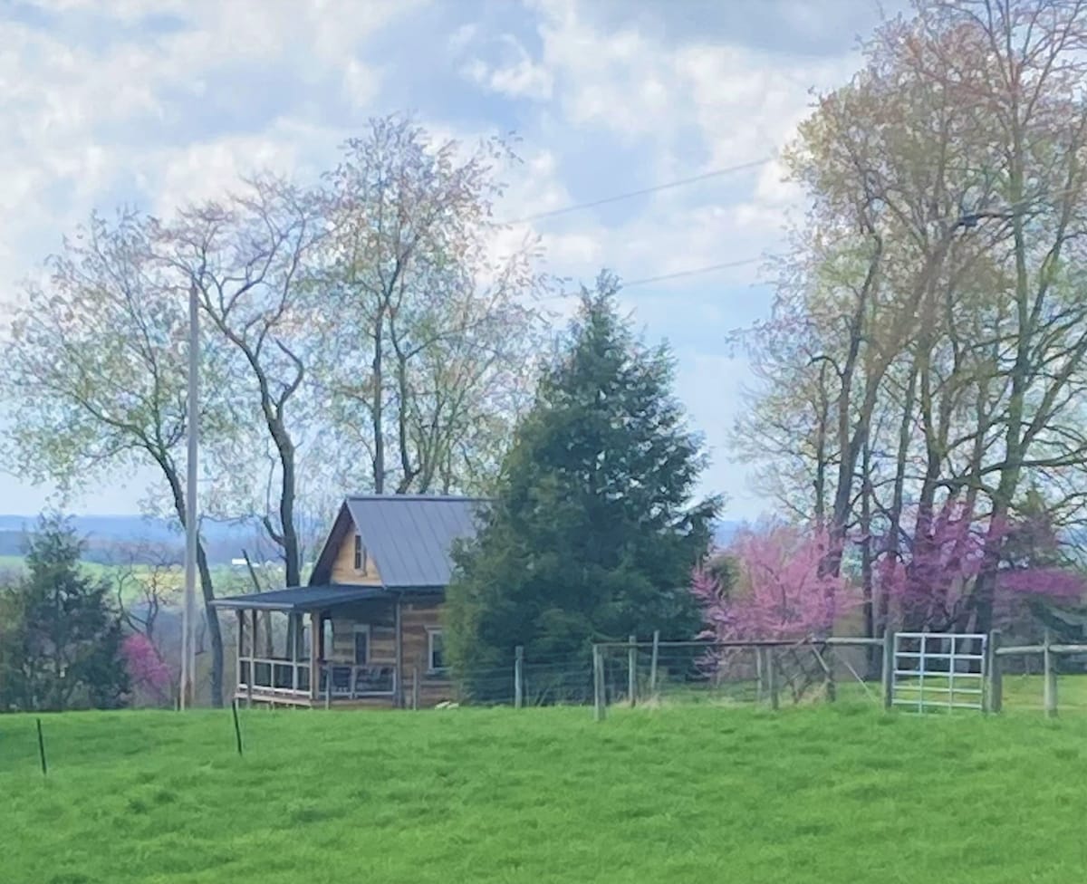 Rustic Renovated Cabin w/ King Bed + Pasture Views