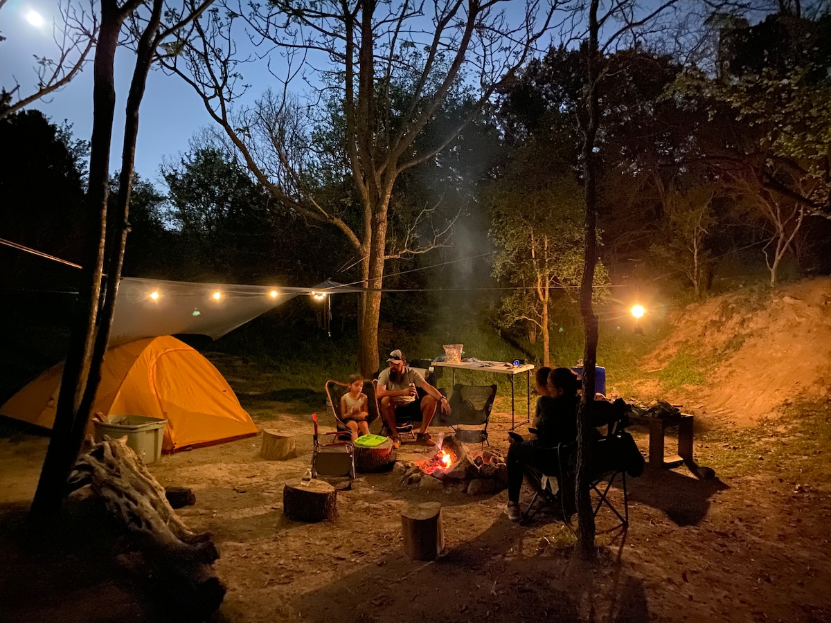 Lost Woods Campground - Primitive Campsite 2