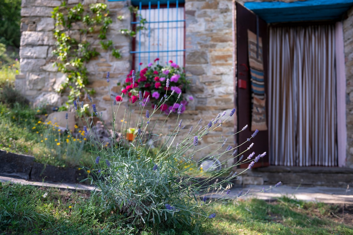 Cottage in pietra - Casa Le Cince