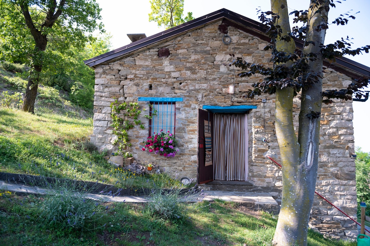 Cottage in pietra - Casa Le Cince