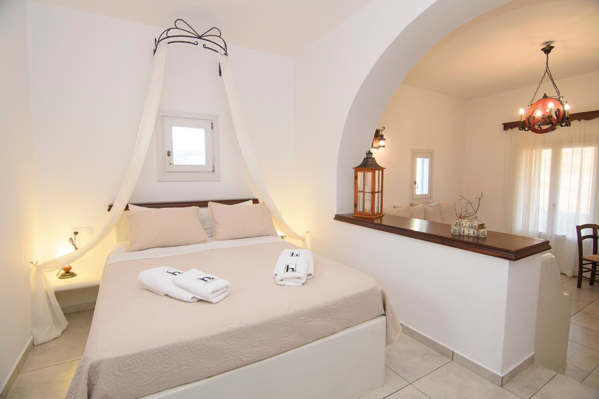 Villa Halkios Amorgos -单间公寓2号