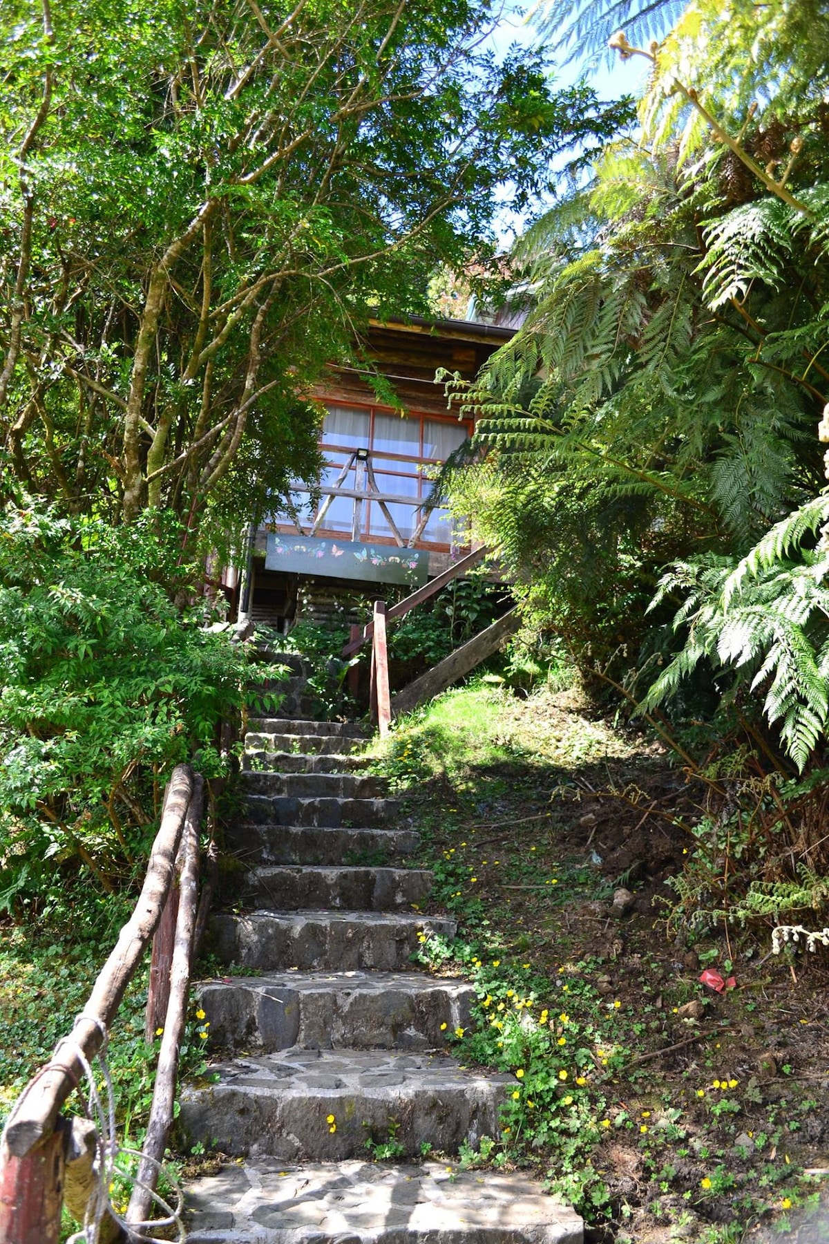 火山景套房