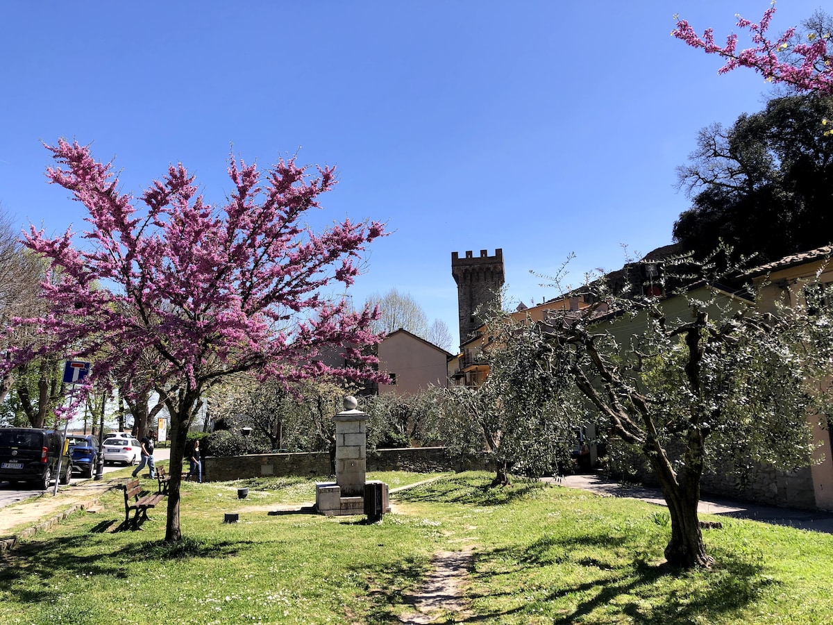 Vicopisano: intero appartamento vista Fortezza