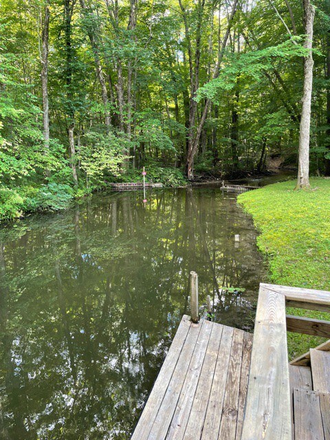 Picturesque and cozy cabin on Ryerson Lake channel