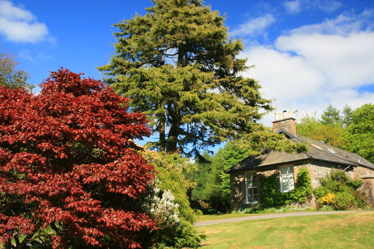 带日志燃烧器的宁静小屋