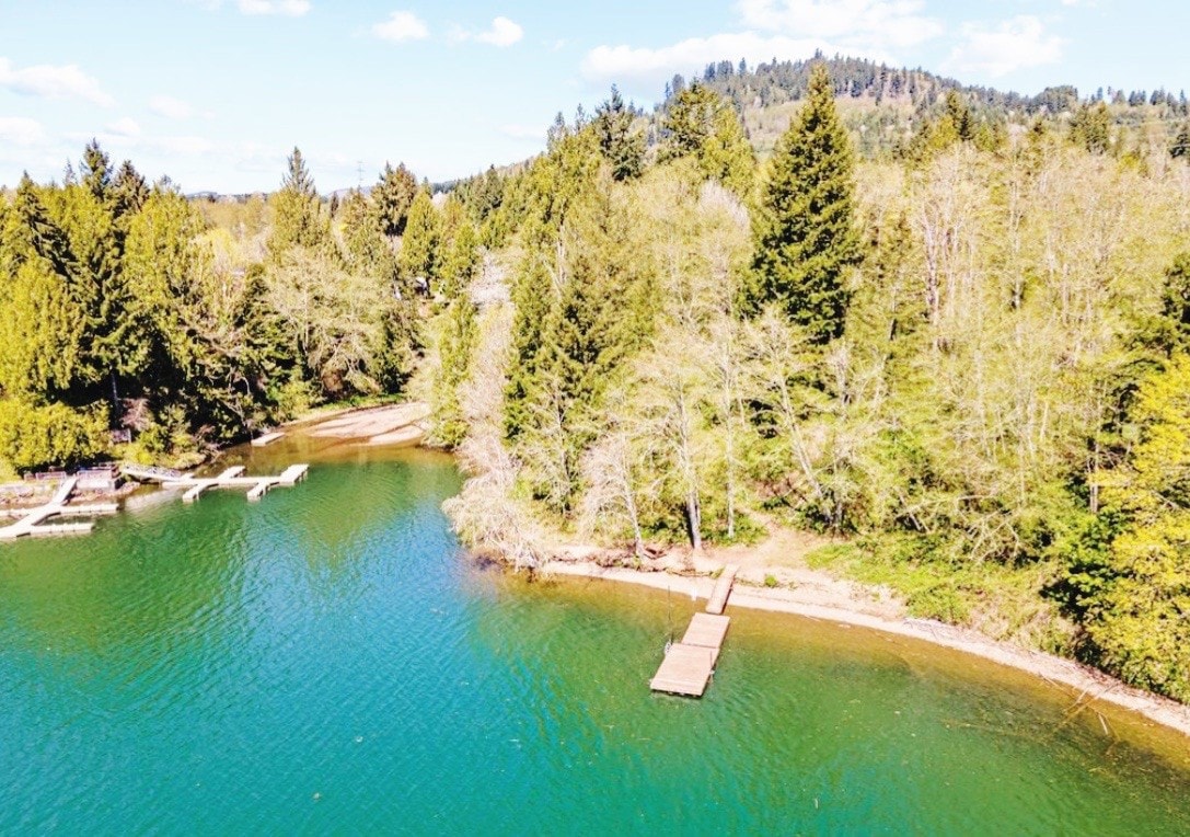 Harmony Cabin at Mayfield Lake