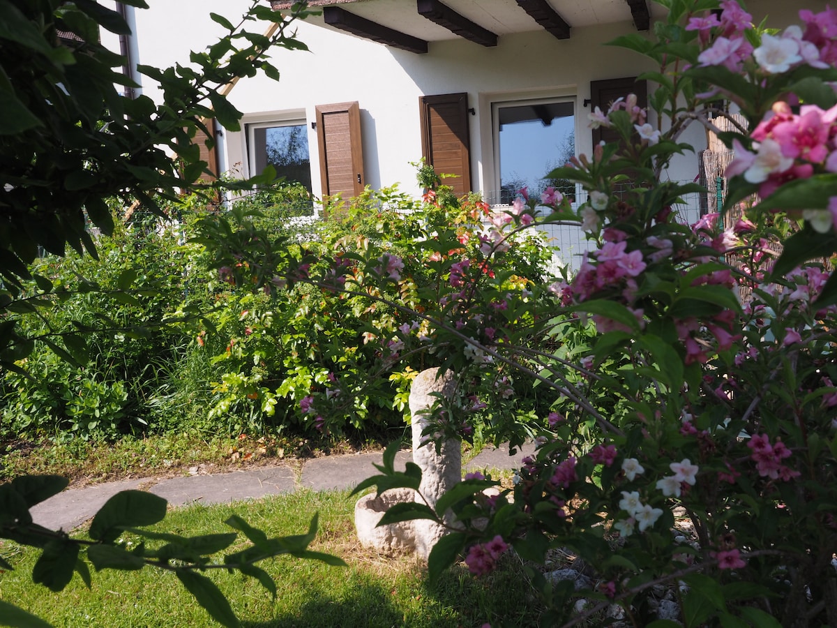 Appartamento a piano terra con giardino