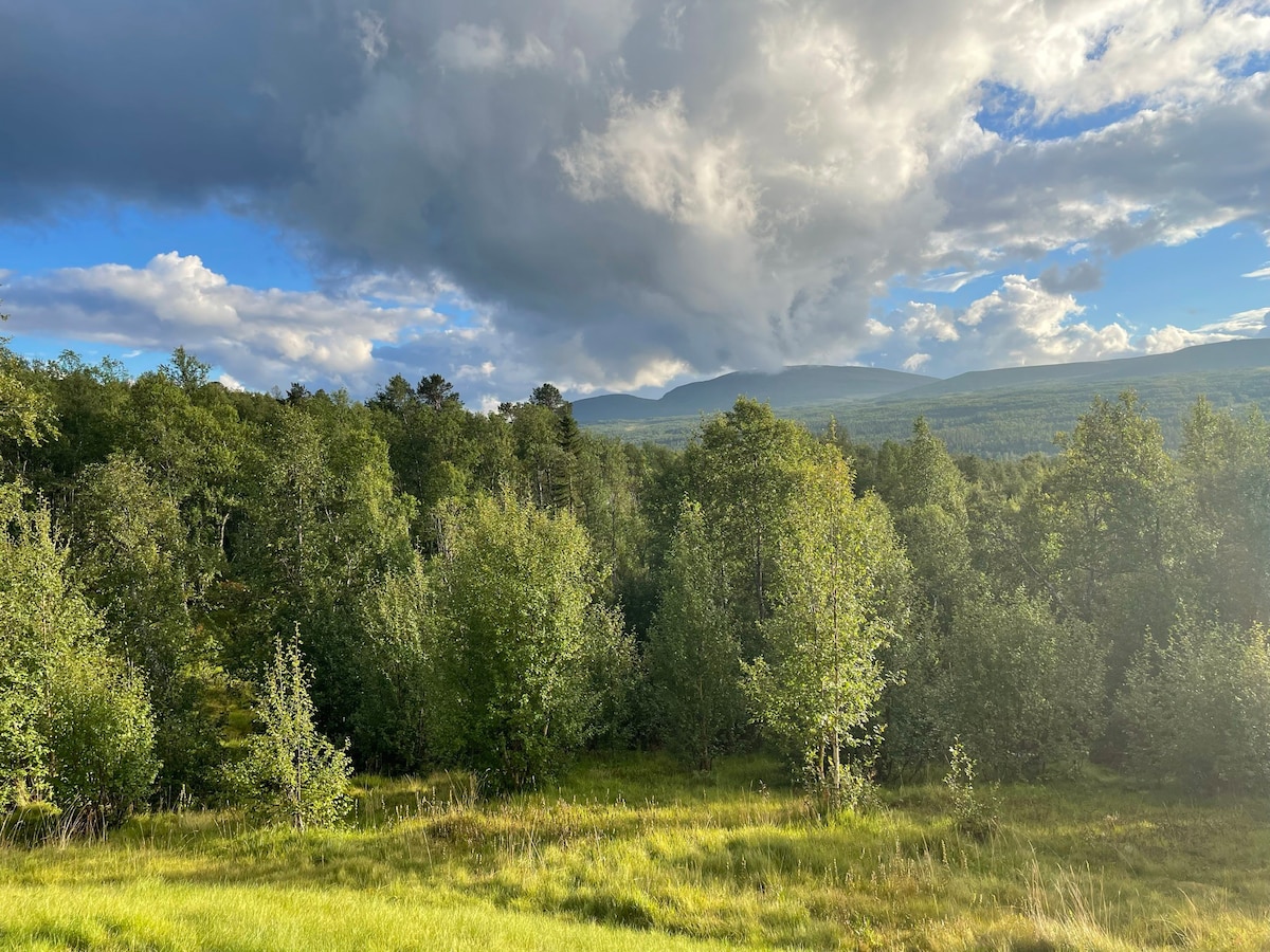 Bekvämt och rymligt fjällhus med bländande utsikt.