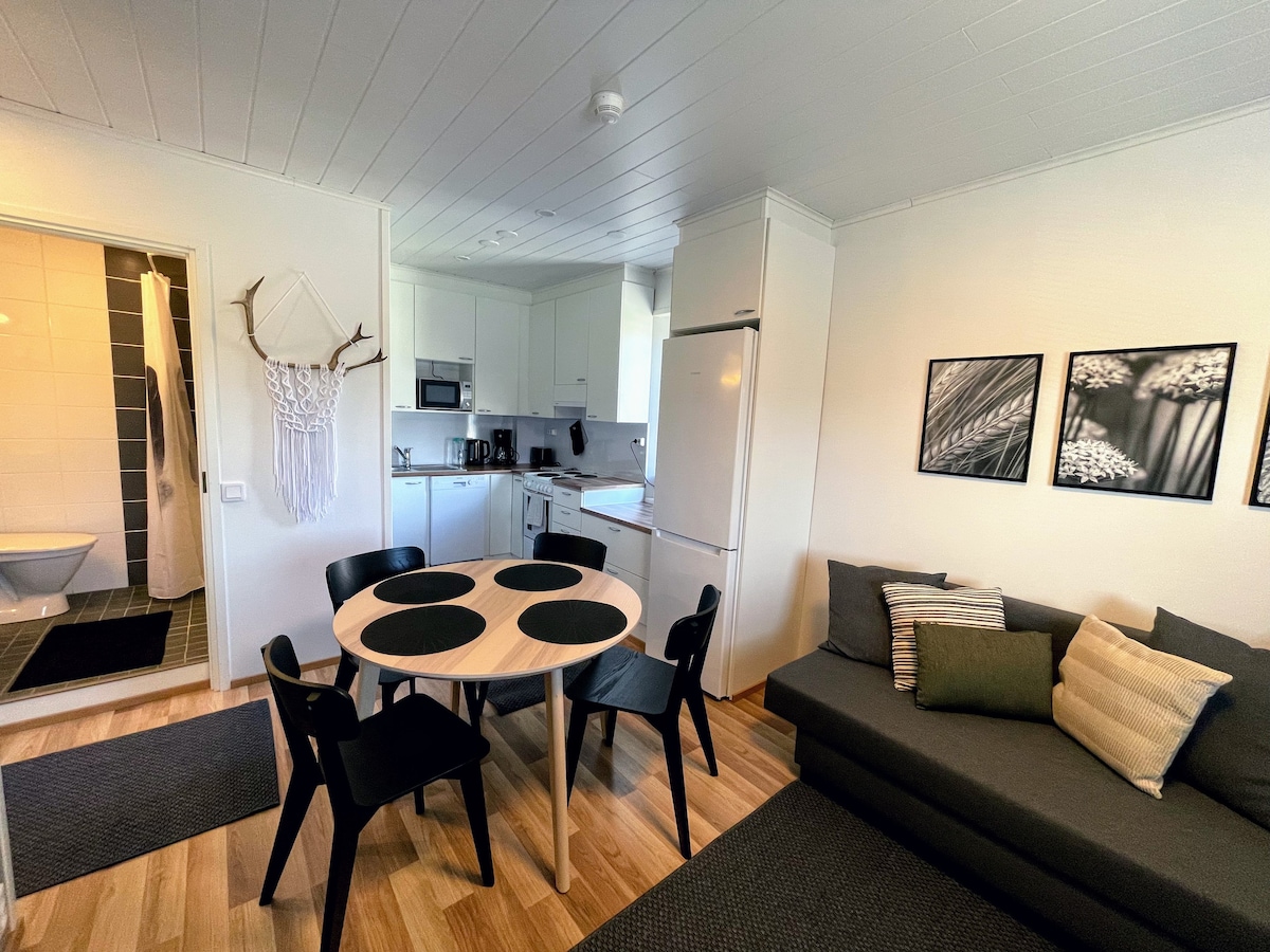 Bear 's Nest -位于伊瓦洛市中心的舒适36平方米公寓