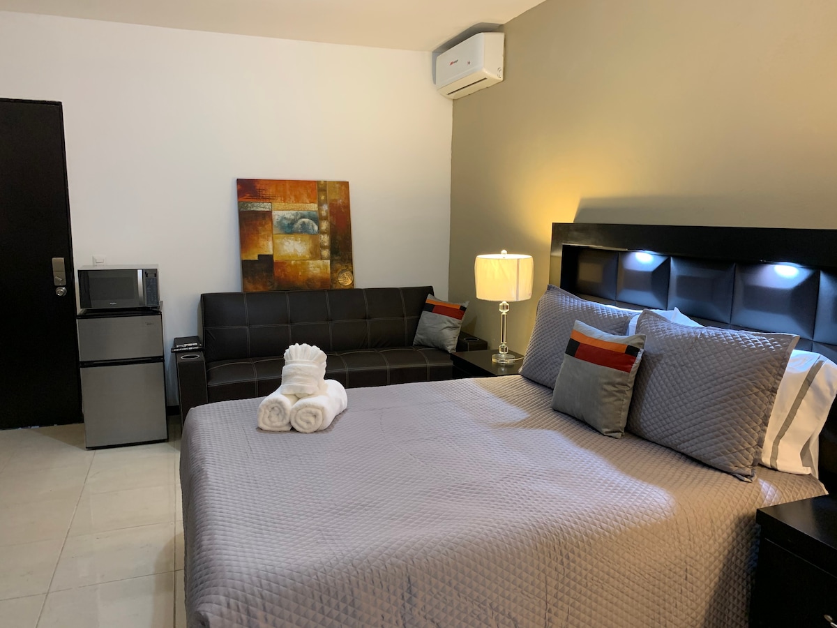 Allende Suites # 1高清电视+空调+沙发